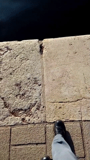 1549536045.gif