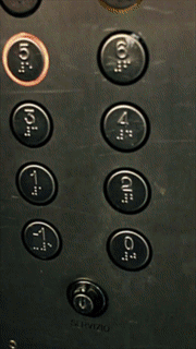1550058057.gif