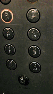 1550253203.gif