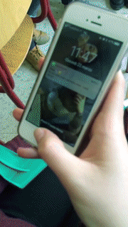 1551345788.gif