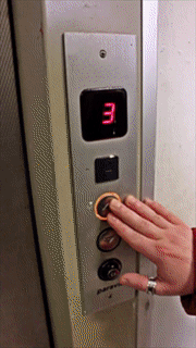 1552128101.gif