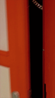 1553161902.gif