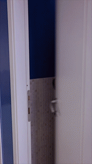 1553253172.gif