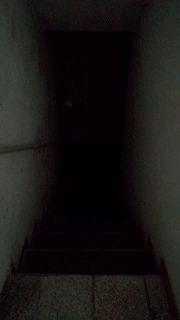 1553682379.gif