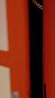 1555320106.gif