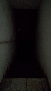 1555492623.gif