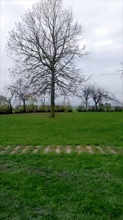 1557157023.gif