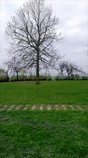 1557986945.gif