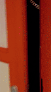 1558070345.gif