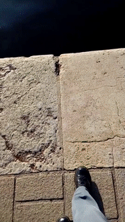 1558070452.gif
