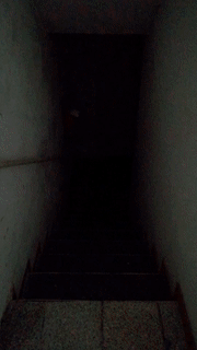 1558078237.gif