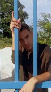 1558078425.gif