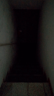 1558084149.gif