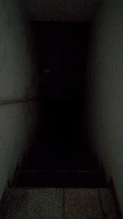 1558084837.gif