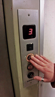 1558085412.gif