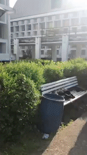 1558085479.gif