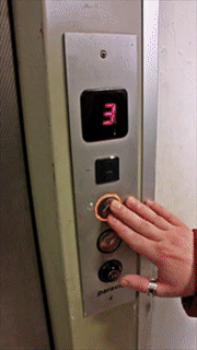 1558098371.gif