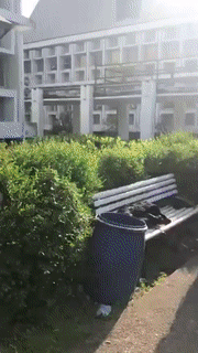 1558359421.gif