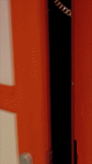 1559121361.gif